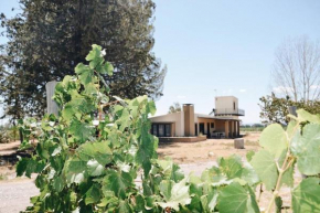 Casa entre viñas, Valle de Uco